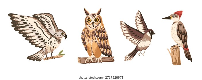 Conjunto de aves del bosque salvaje con búho, halcón, pájaro carpintero y gorrión