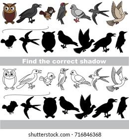 Wild Forest Birds set to find the correct shadow, the matching educational kid game to compare and connect objects and their true shadows, simple gaming level for preschool kids.