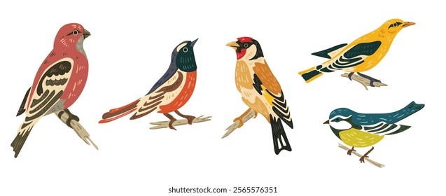 Wild forest birds. Winter wild animal, titmouse, grosbeak, goldfinch, oriole. Isolated wild or garden flat nature nestling. Vector illustration. Forest birds collection.