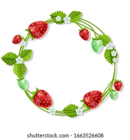 Wild forest fruits on wreath, circle frame from Strawberries and berries isolated on white background, vector eps 10 format
