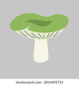 Wild forest green mushroom vector illustration. Flat cartoon organic russula fungus, autumn nature harvest vegetarian food isolated design element