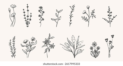 Wild forest herbs and flowers vintage textured chalk drawing sketch. Line grass retro flora silhouette. Crayon doodle hand drawn
