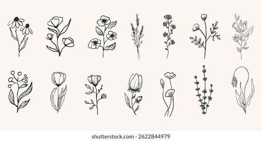 Wild forest herbs and flowers vintage textured chalk drawing sketch. Line grass retro flora silhouette. Crayon doodle hand drawn