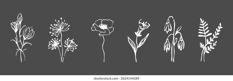 Wild forest herbs and flowers vintage textured chalk drawing sketch. Line grass retro flora silhouette. Crayon doodle hand drawn
