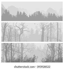 Wild forest horizontal banners. landscape nature, wood natural panorama. Journey banner collection. Vector illustration