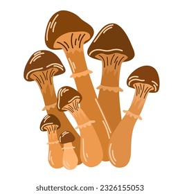 Wild forest mushrooms in autumn. Healthy organic food, vegetarian food, fresh mushrooms isolated on a white background. Vector illustration hand-drawn, family of edible mushrooms