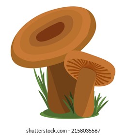 Wild forest mushrooms. Saffron milk cap mushroom.
Vector illustration