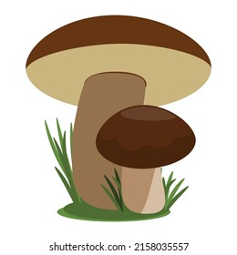 Wild forest mushrooms. Vector illustration