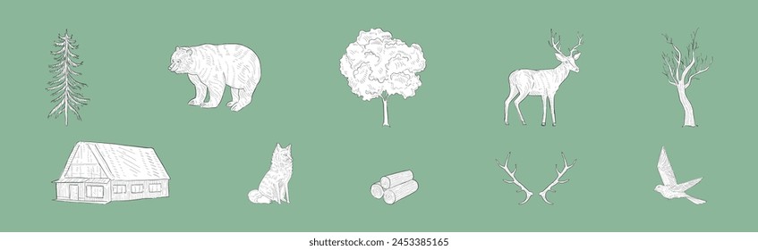 Wild Forest Natur mit Hirsch, Bär und Baum Handgezeichnete Element Vektorgrafik Set