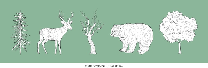 Wild Forest Nature with Deer, Bear and Tree Hand Drawn Element Vector Set