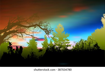 Wild forest panoramic landscape with sky, silhouettes of trees and plants