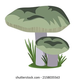 Wild forest russula mushrooms. Vector illustration