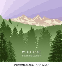 Wild forest. Sunrise, mountains, pine and spruce. Eagles, and birds in flight. Abstract background. Tourism and travel. Camping. Silhouettes of trees. Environmental colorful banner. Vector.