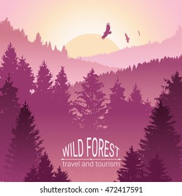 Wild forest. Sunrise, mountains, pine and spruce. Eagles, and birds in flight. Abstract background. Tourism and travel. Camping. Silhouettes of trees. Environmental colorful banner. Vector.