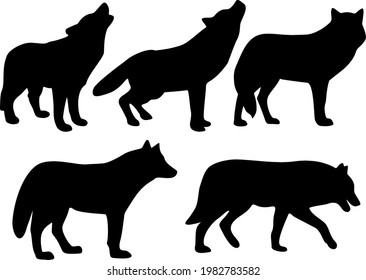 Wild forest wolves in the set.