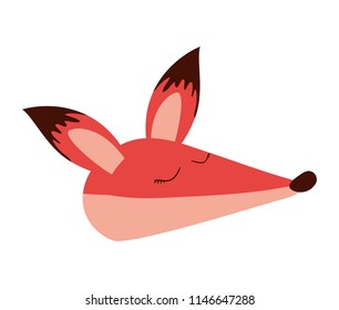 wild fox animal head