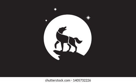 wild fox in black background 