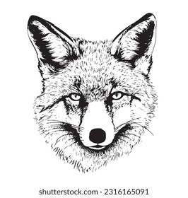 Wild fox head hand drawn sketch in doodle style illustration