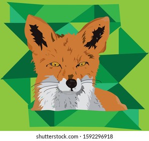 wild fox illustration in green background