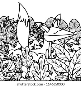 wild fox in the jungle scene
