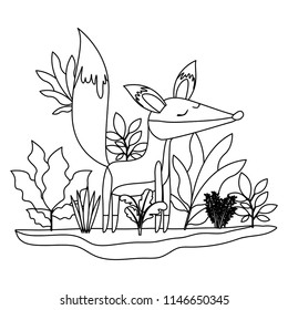 wild fox in the jungle scene