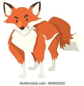 Wild fox on white background illustration