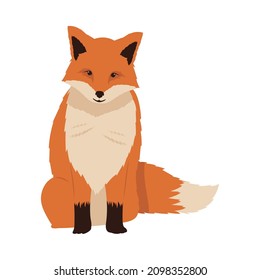 wild fox seated animal icon