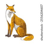Wild fox sitting hand drawn vector illustration