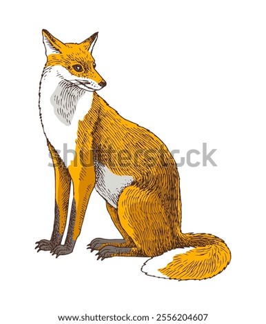 Wild fox sitting hand drawn vector illustration
