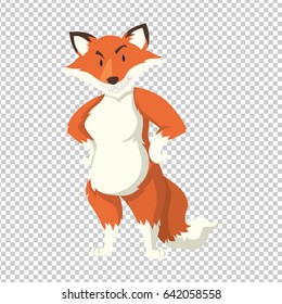 Wild fox parado en una ilustración de fondo transparente