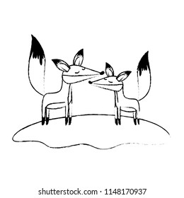 wild foxes couple in the jungle