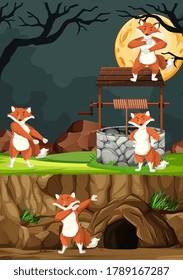 Wild foxes group in many poses in animal park cartoon style on night background illustration