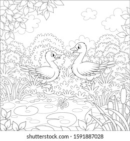 Wild geese near a small lake on a meadow on a beautiful summer day, black and white vector cartoon illustration for a coloring book page