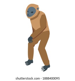 Wild gibbon icon. Isometric of wild gibbon vector icon for web design isolated on white background