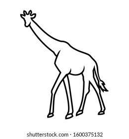 wild giraffe animal vector silhouette