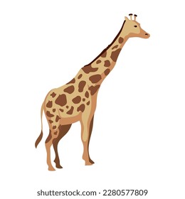 wild giraffe design over white