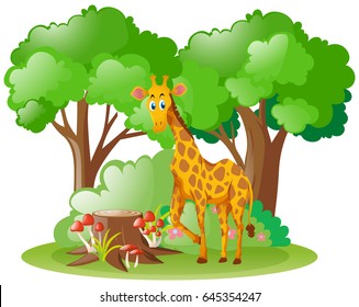 Wild giraffe in the forest illustration