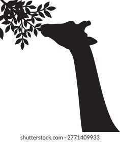 Wild giraffe neck silhouette reaching for green tree foliage leaves.