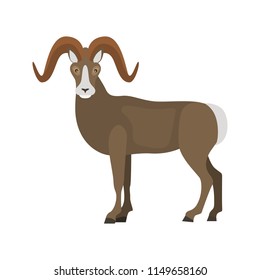 Wild goat color vector icon. Flat design