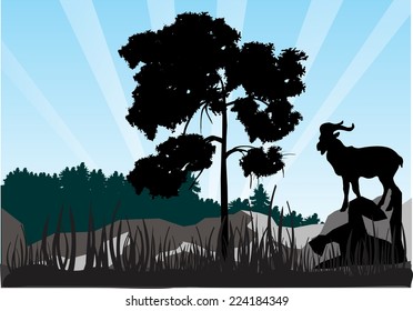 A wild goat silhouettee in mountain