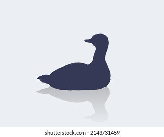 Wild Goose On Calm Water, Silhouette