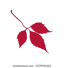Wild grapes leaf outline vector icon.