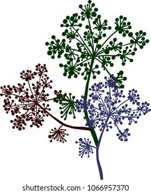 Wild grass. Colorful silhouettes of dry herbs. Botanical detail. Element for design. Vector illustration.