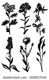 
Wild grass, drawn by a black line on a white background. Sketch of wild herbs. Vector.