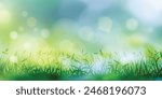 Wild grass on a spring morning, bright spring meadow, vector illustration, bokeh effect