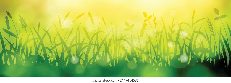 Wildgras an einem Frühlingsmorgen, helle Frühlingswiese, Vektorillustration