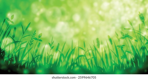 Wild grass on a spring morning, bright spring meadow, vector illustration, bokeh effect
