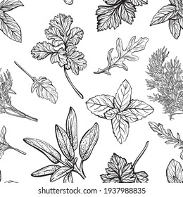 Wild grass seamless pattern. Field herbs and garden medical plants, useful seasonings. Hand-drawn vector illustration
