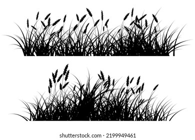 Wild Grass Silhouette. Grassland Silhouette