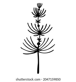 Wild grass silhouette vector icon. Hand-drawn doodle isolated on white. Horsetail botanical sketch. Monochrome element for decoration and design of cards, textiles, stationery, packaging.